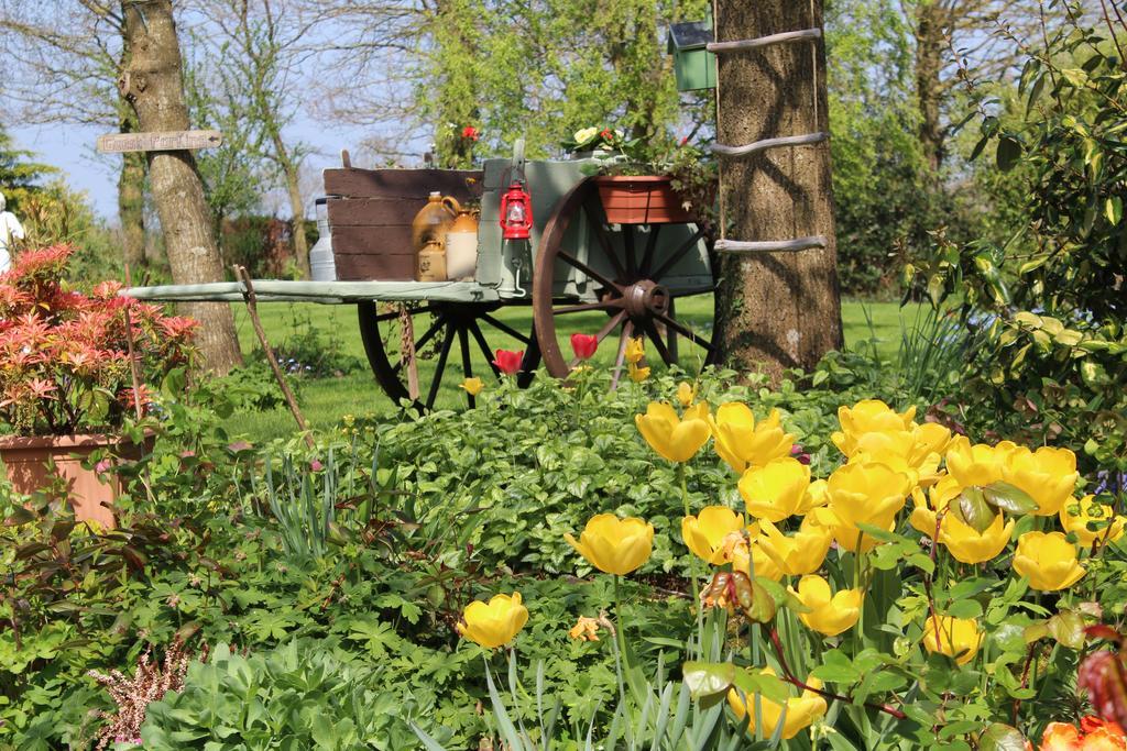 Le Domaine De L'Arche Bed & Breakfast Plouasne Luaran gambar